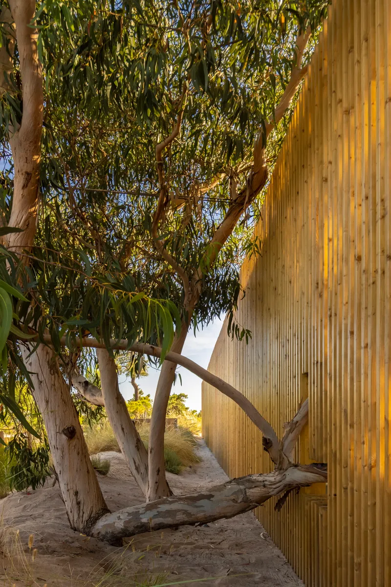 Corner of the vertical timber screen with weathered tree trunk in sandy landscape
