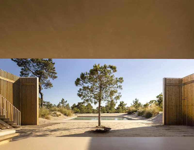 Sandy courtyard framed by timber-clad volumes with a solitary pine tree at center