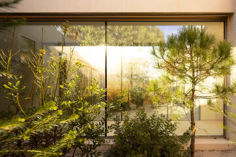 Interior courtyard planted with young pines and shrubs glimpsed through full-height glazing