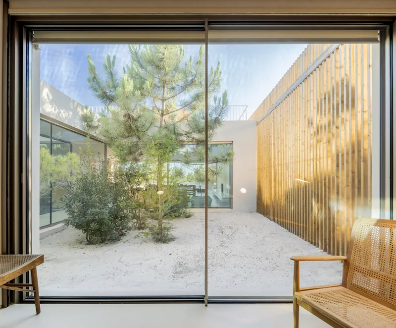 Interior view through sliding doors to a courtyard with pine trees and vertical timber screen in sunlight
