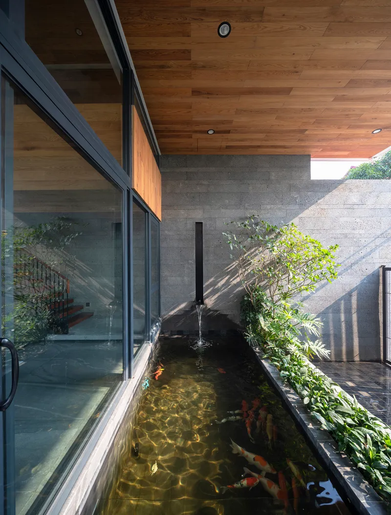Koi pond with fountain jet beneath a timber-clad ceiling and concrete retaining wall