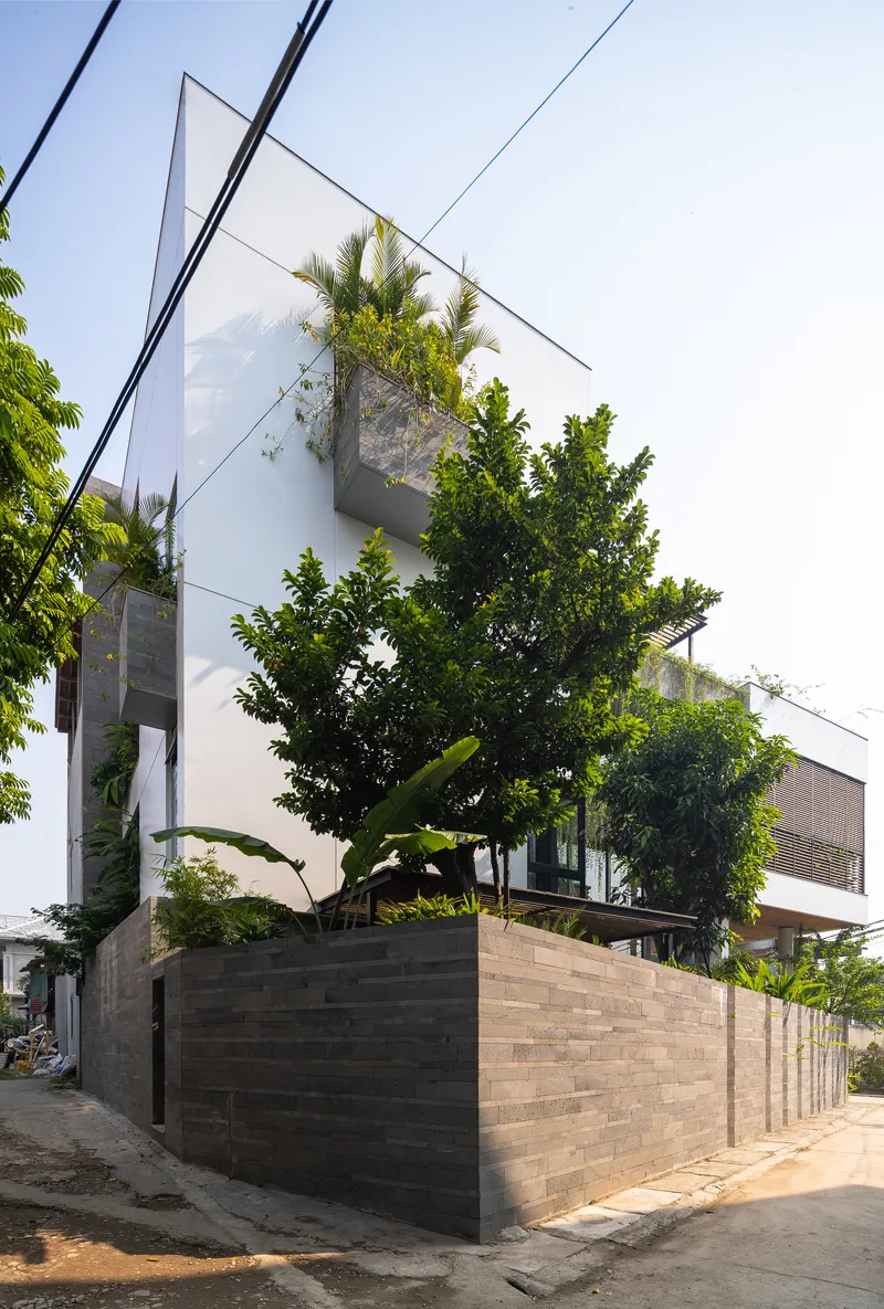 Corner street view showing the raised planter box with mature trees emerging above horizontal timber cladding