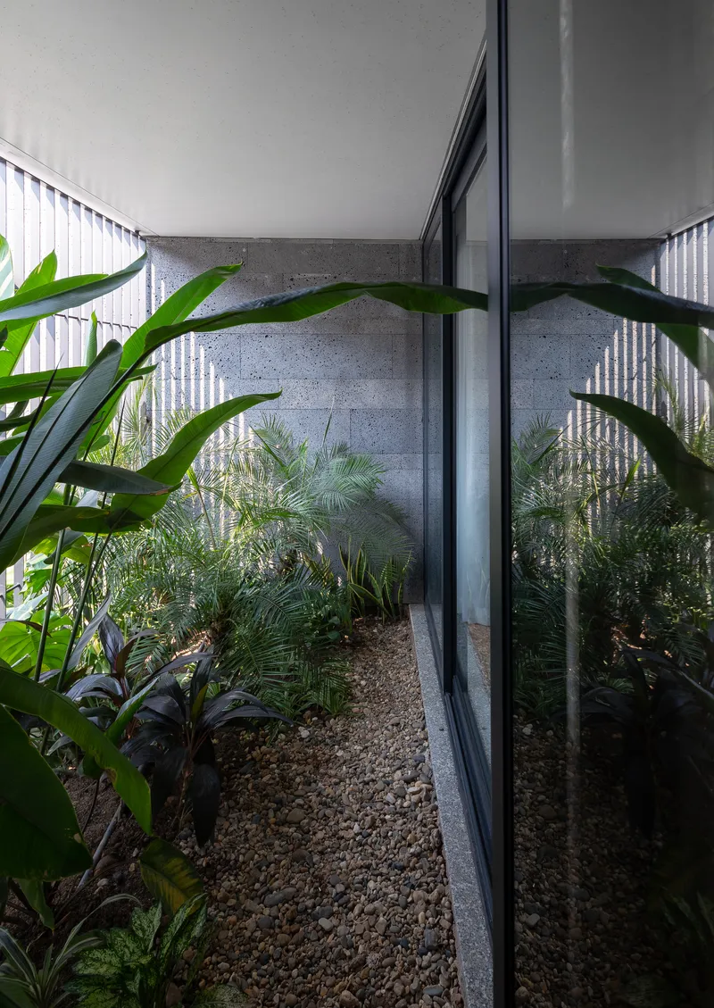 Narrow planted courtyard with concrete walls, corrugated screening and tropical foliage beneath an overhanging soffit