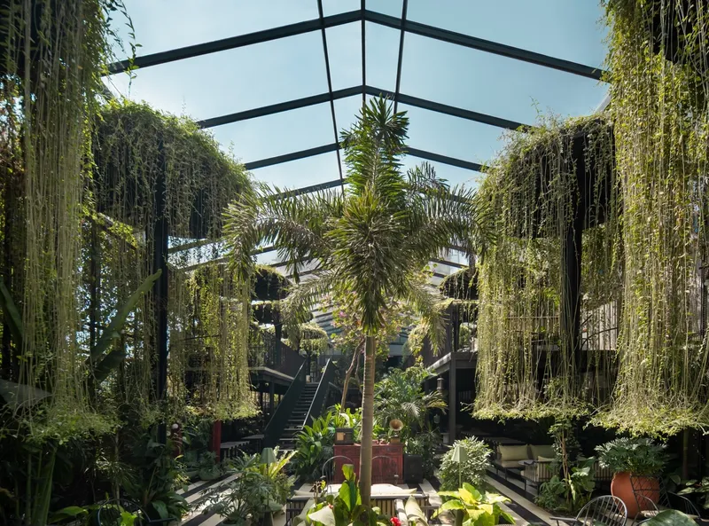 Steel frame pergola with cascading vine curtains and palms surrounding a central staircase in daylight