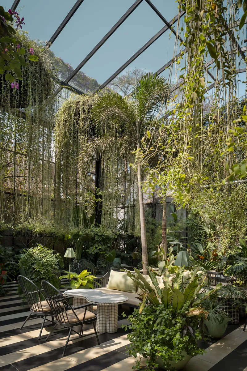 Seating area beneath a glazed roof structure with climbing plants and dappled afternoon light