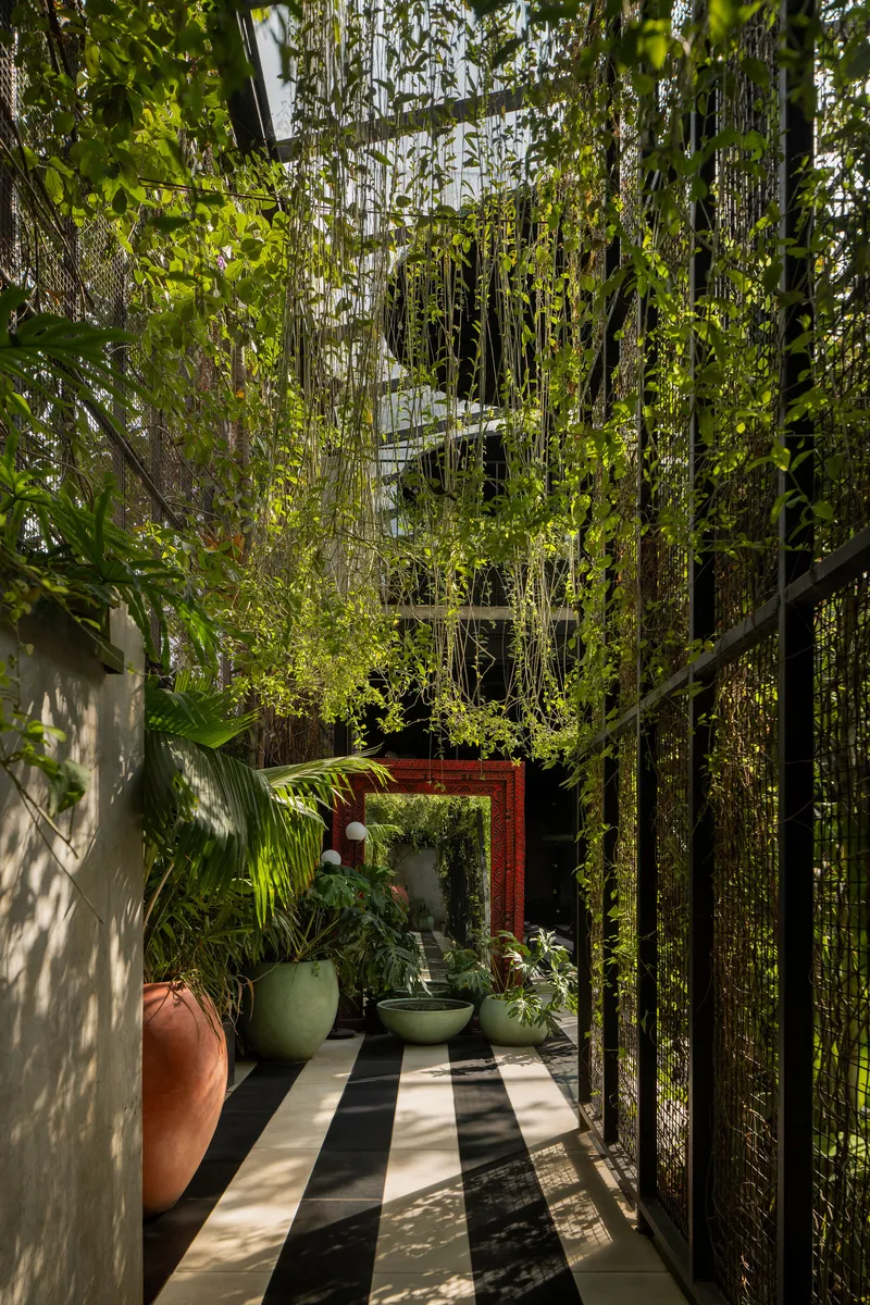 Garden passage with striped stone paving and ceramic planters beneath trailing greenery and dappled sunlight
