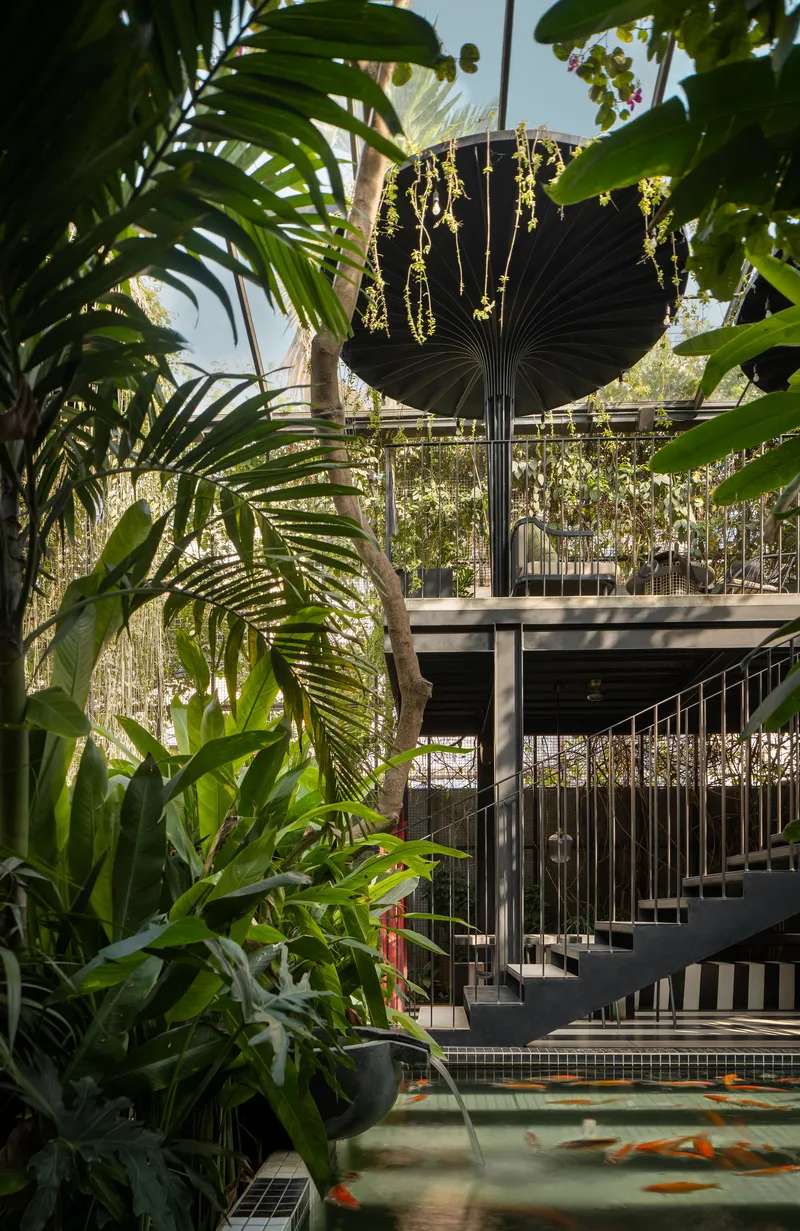 Black steel staircase and fan-shaped canopy surrounded by tropical palms and climbing vegetation