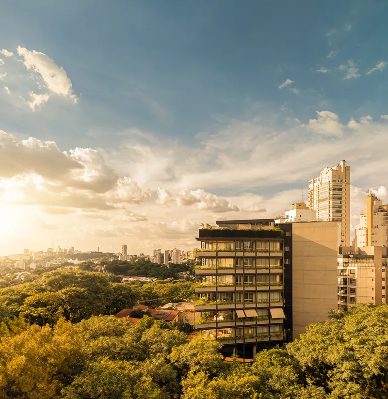 Multilevel residential tower rising above dense green treetops at golden hour