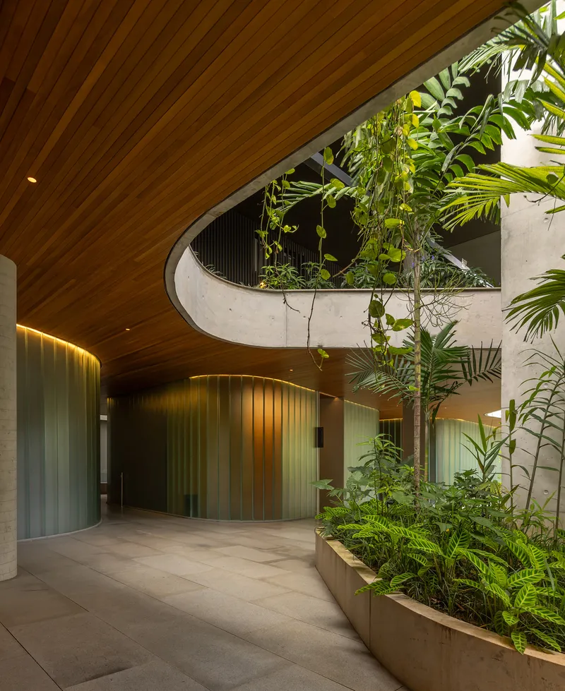 Entry lobby with curved timber ceiling, planted beds with ferns and palms, and green metal panels