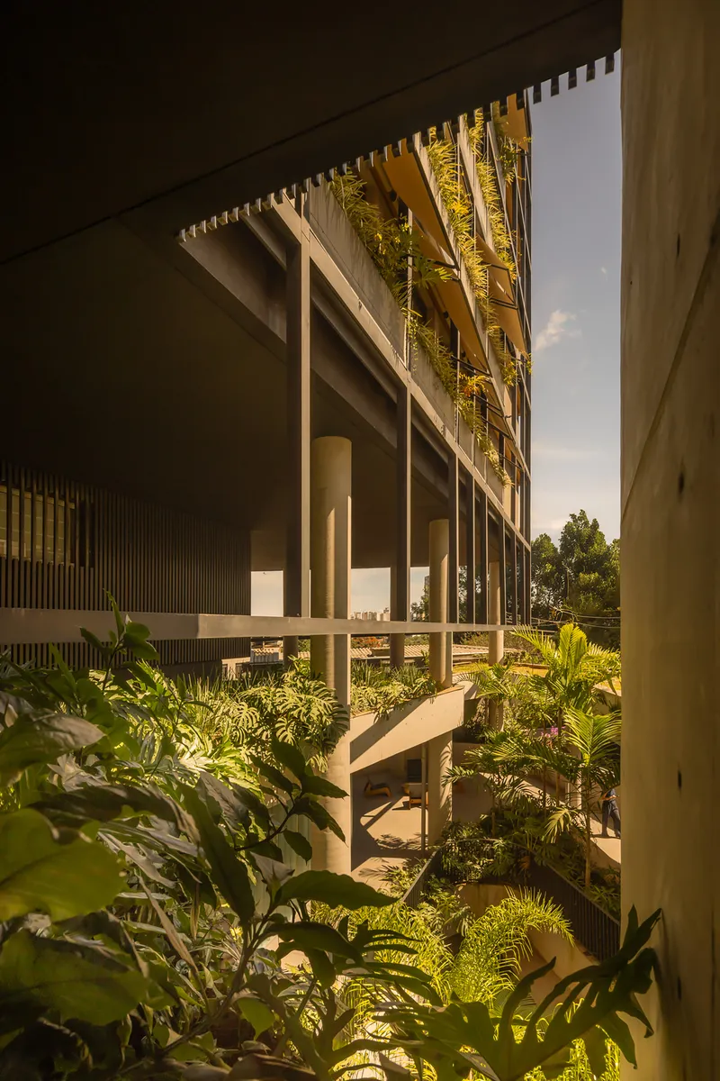 Interior courtyard view with layered planting and illuminated tower facade in warm light