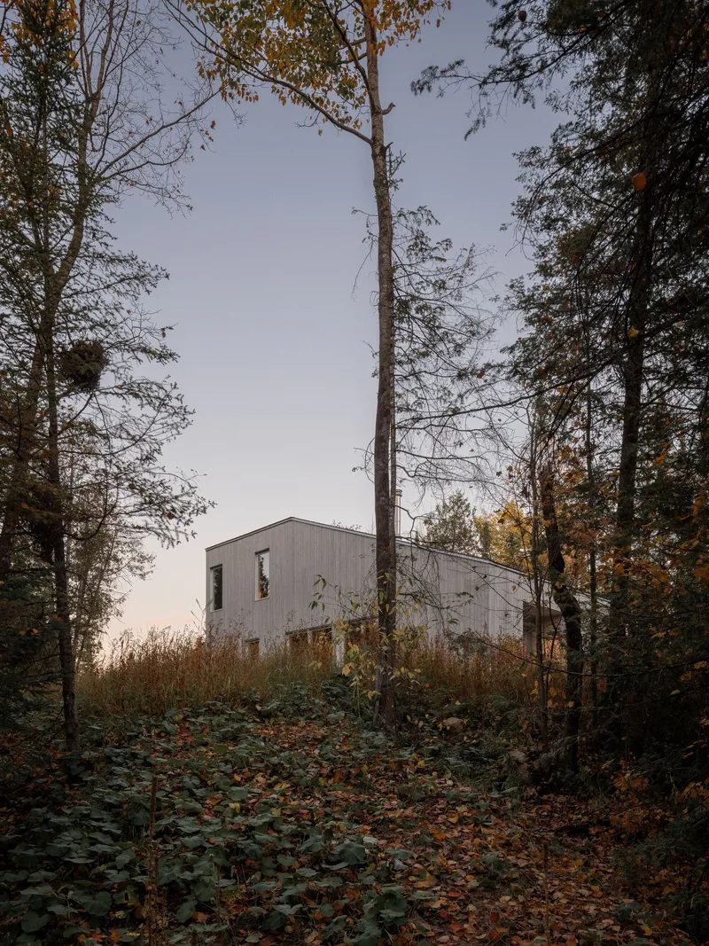 Weathered timber facade emerging from a slope of fallen leaves and underbrush at twilight