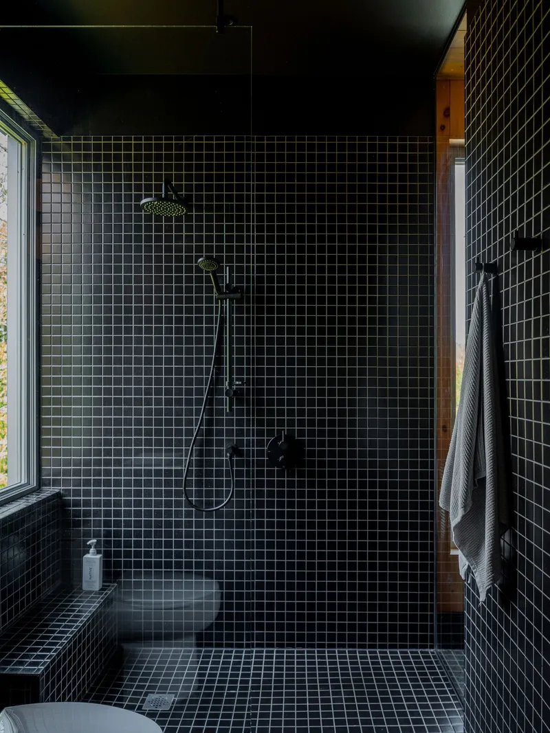 Shower enclosure clad entirely in small-format black mosaic tile with timber door trim visible