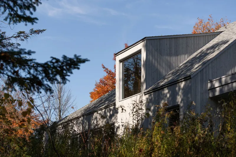 Sloped roof with vertical timber cladding and protruding window box under dappled tree shade