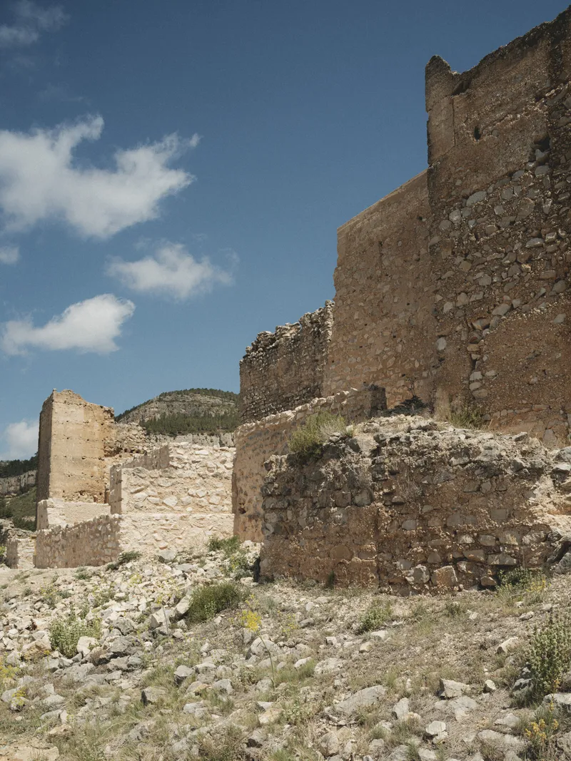 Fragmented stone walls and towers cascading down hillside with wild grasses in foreground