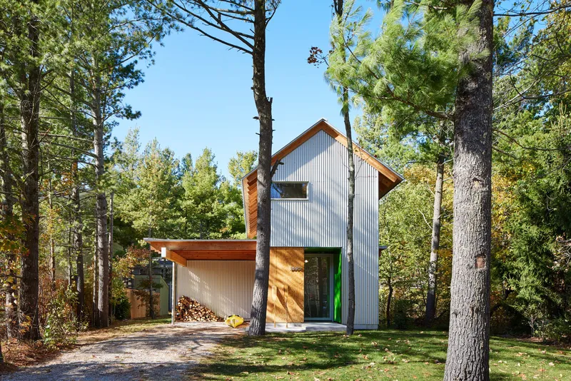 Corrugated metal-clad gable structure with attached carport framed by pine trees in dappled sunlight