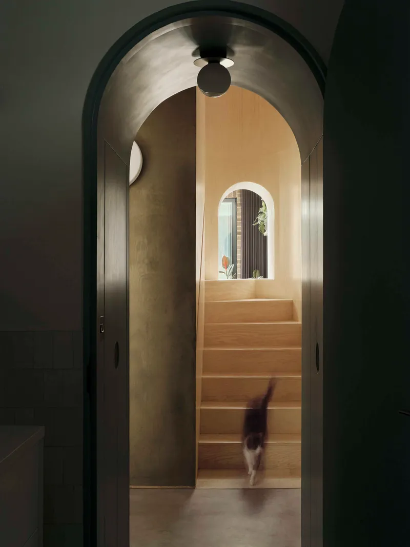 Arched doorway framing a view through to timber stairs with a cat descending under pendant light