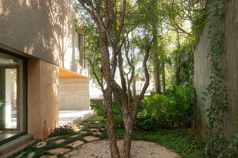 Courtyard garden with multi-trunk tree among stone pavers and low planting between brick volumes