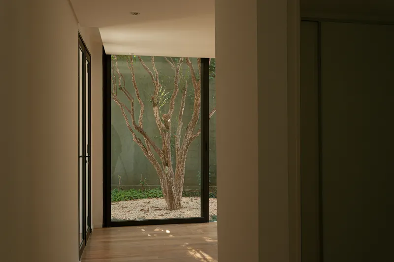 Interior corridor view through glazed door to courtyard with bare tree and gravel ground