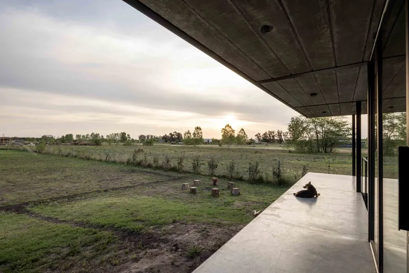 Covered terrace with exposed concrete soffit overlooking the fields at dusk with a dog resting
