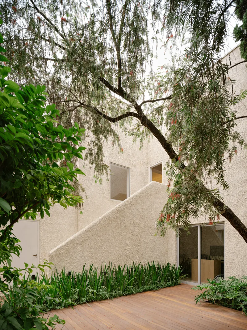 Courtyard facade showing the textured white walls and timber-framed openings beneath drooping tree branches