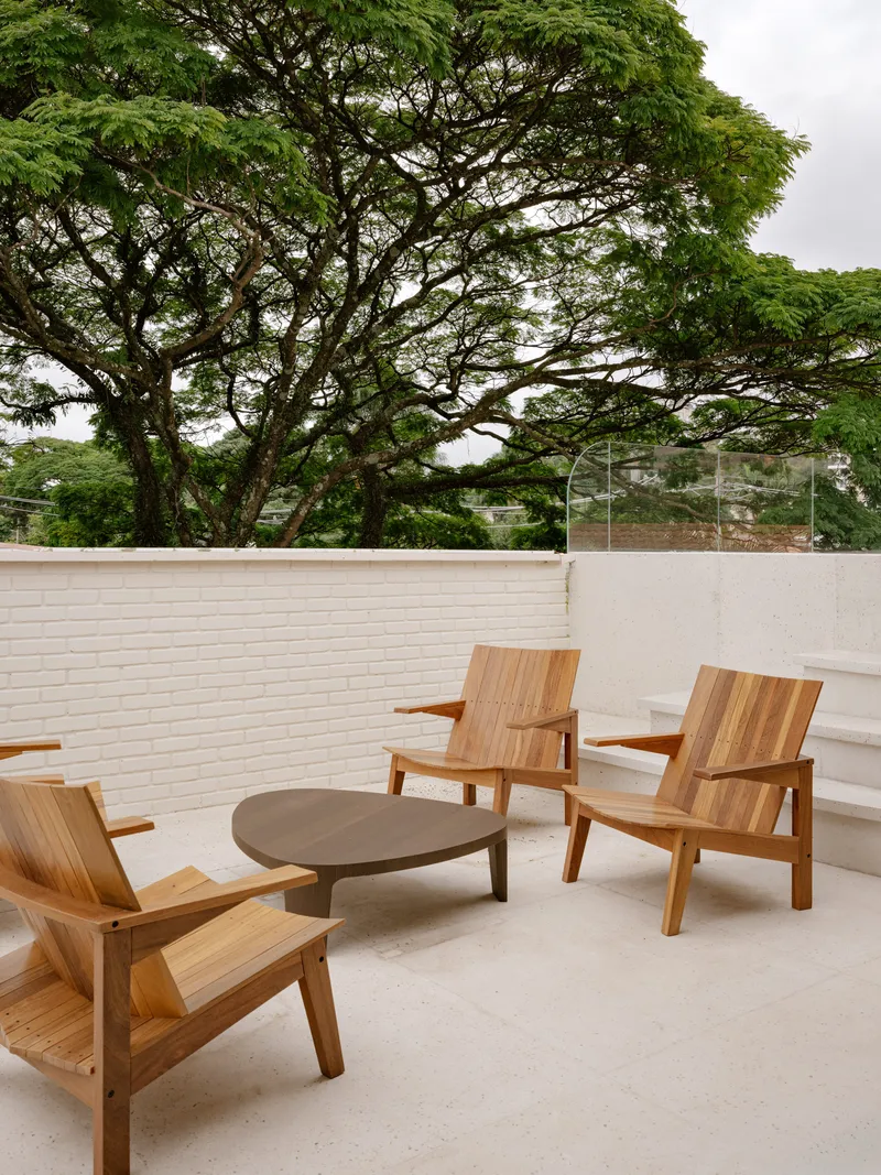 Rooftop terrace with timber lounge chairs and low table beneath a spreading canopy tree