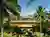 This architectural image showcases a modern tropical house nestled amidst lush greenery and palm tre
