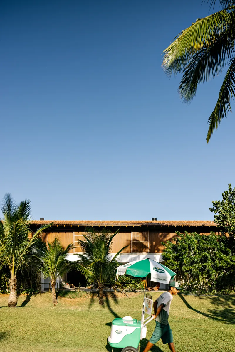 Garden view of timber-clad pavilion with shallow pitched roof beneath palm trees and clear sky