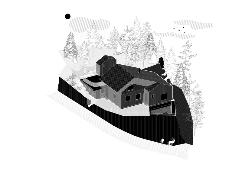 Axonometric drawing showing clustered volumes on a sloped site with surrounding trees and birds overhead
