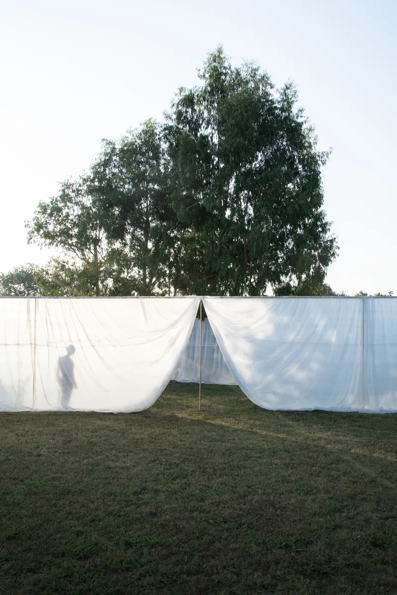 Triangular entrance formed by draped white fabric walls beneath a leafy tree canopy