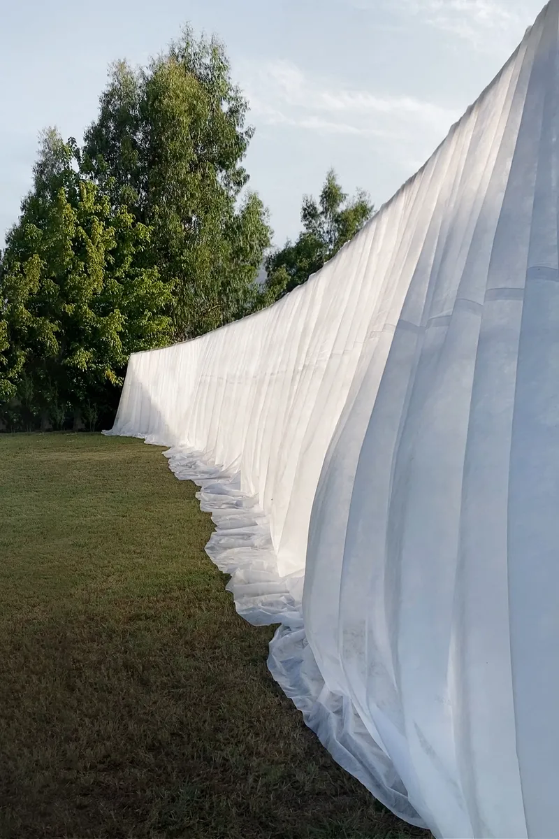 Undulating white fabric screen rippling across grass with birch trees behind in afternoon light