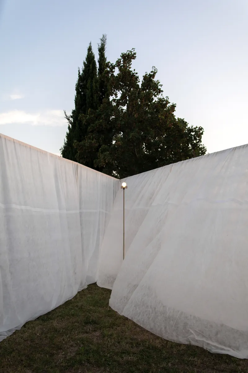 Intersection of translucent white fabric walls forming a narrow pathway with cypress trees above