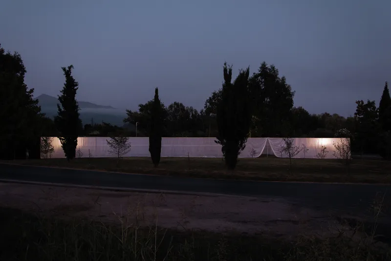 Illuminated fabric enclosure seen at dusk across a road with silhouetted cypress trees