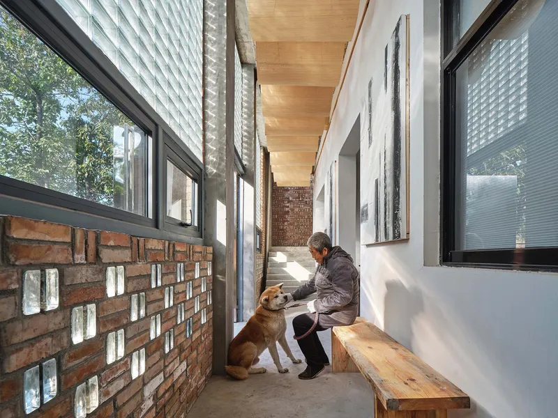 Interior corridor with timber ceiling and glass block wall as a person greets a dog
