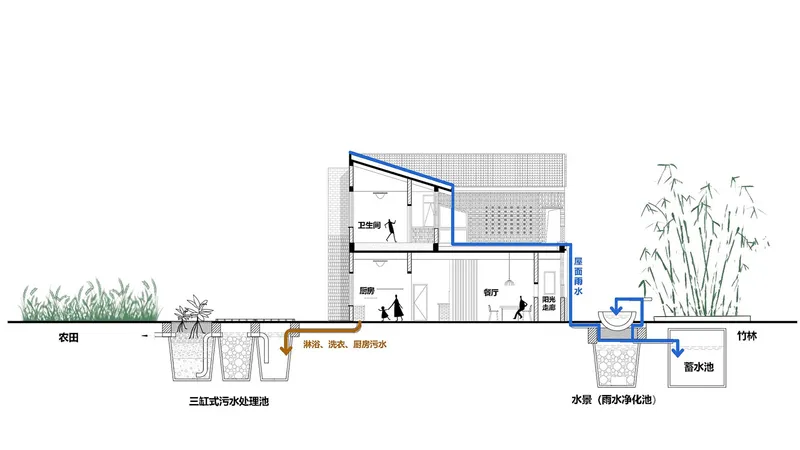 Section drawing showing rainwater collection and treatment systems integrated with interior spaces and exterior landscaping