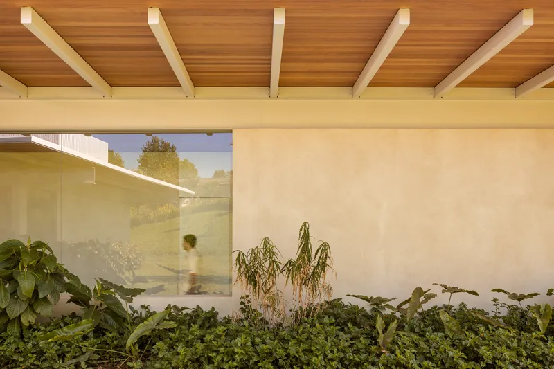 Interior courtyard planted bed with glass wall reflecting a figure passing in afternoon light