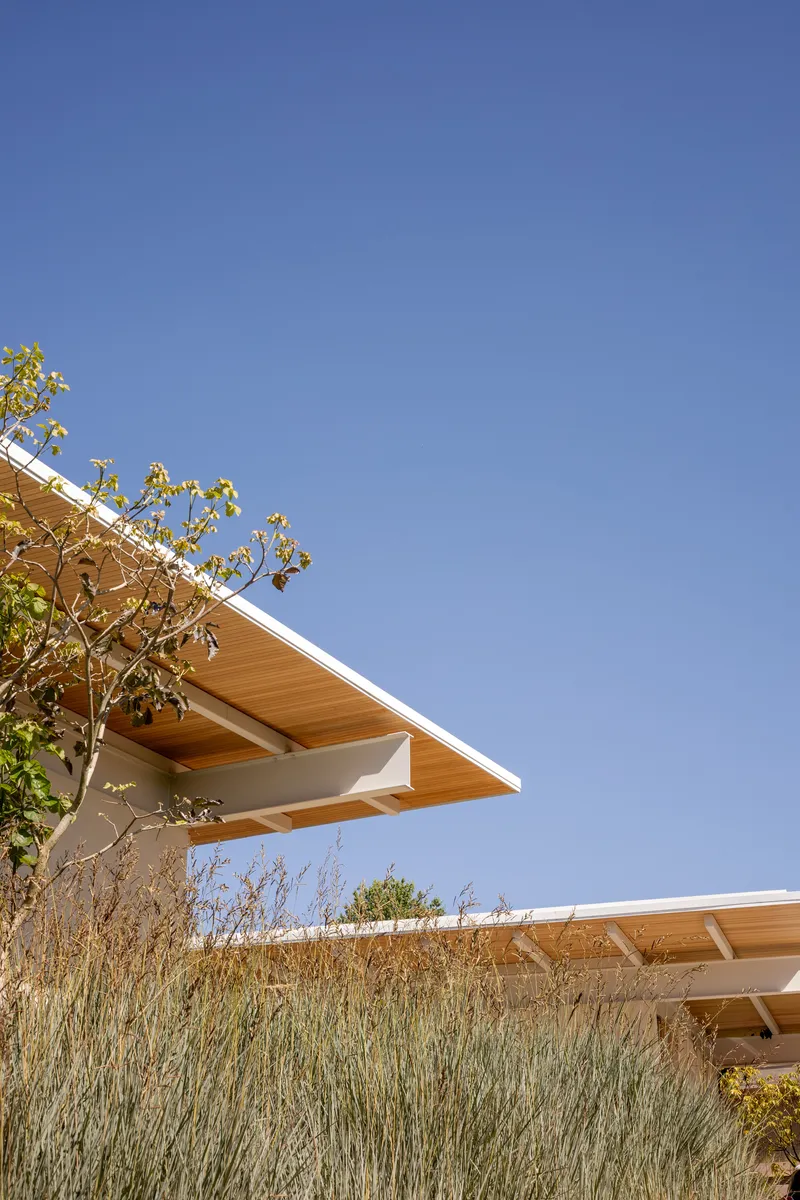 Two angled roof volumes with exposed timber soffits rising above ornamental grasses under clear blue sky