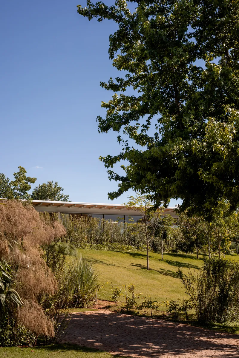 Garden path through planted beds leading toward the low-slung roof visible beyond trees under a blue sky