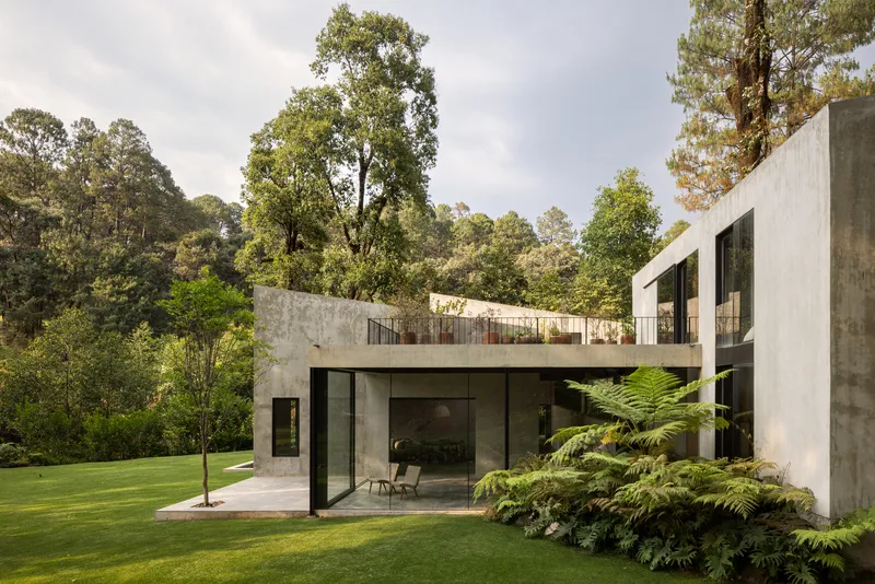 Garden elevation showing concrete volumes with cantilevered terrace and tree ferns beside mown lawn