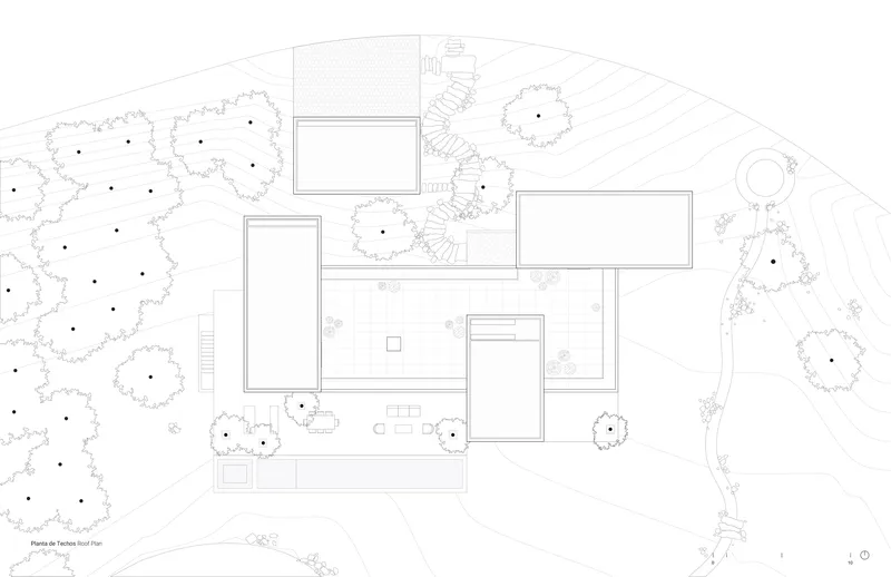 Roof plan drawing showing flat roof volumes positioned between tree canopies