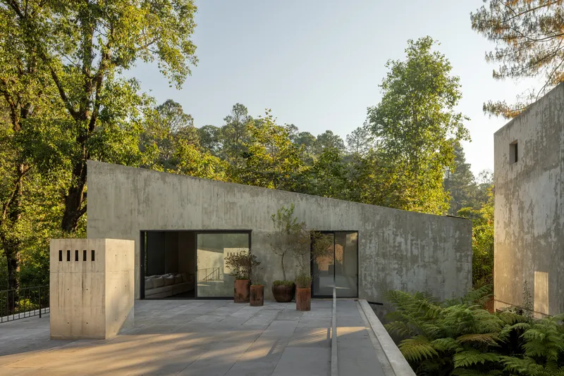 Concrete pavilion with large glazed openings and terracotta planters in dappled afternoon sunlight