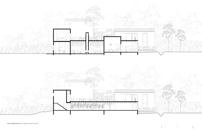 Longitudinal section drawing showing linked volumes stepping across sloping terrain with mature trees