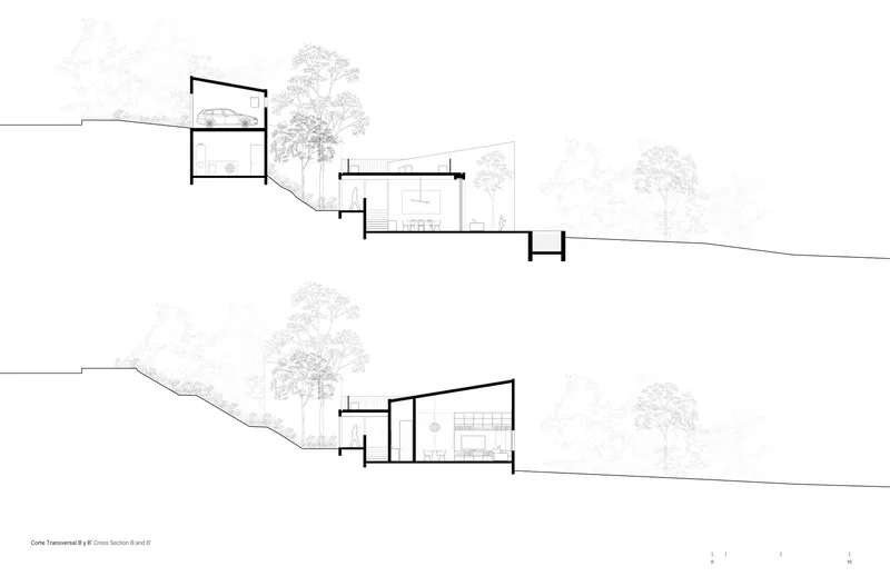 Transverse section drawing revealing interior volumes stepping down the slope with planted landscape above