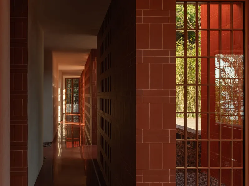 Corridor with timber screen partition and gridded glazing overlooking a courtyard tree