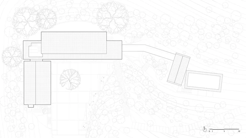 Site plan drawing showing building volumes among tree canopies with curved pathways and landscape elements