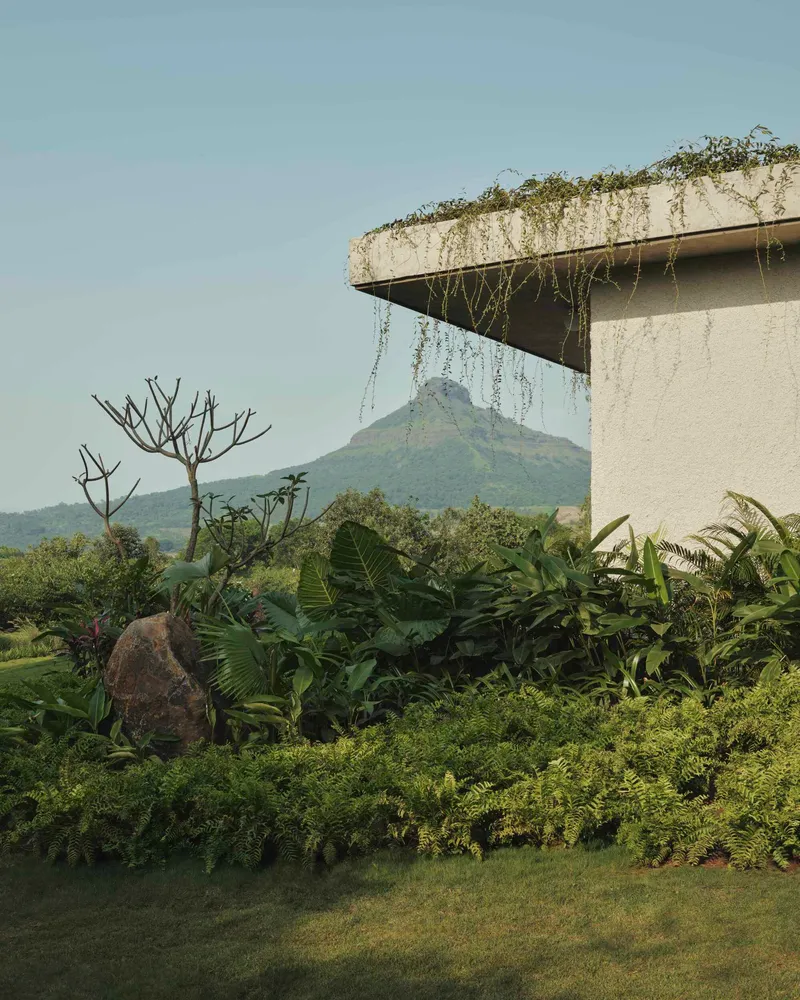 Planted concrete canopy with trailing vines against a mountain backdrop and tropical garden below