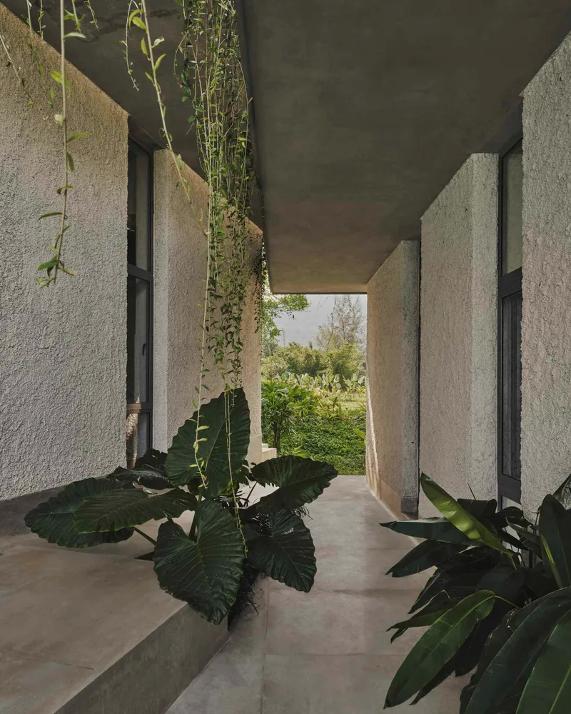 Covered corridor with concrete walls and large-leaf plants beneath the deep soffit opening to the garden