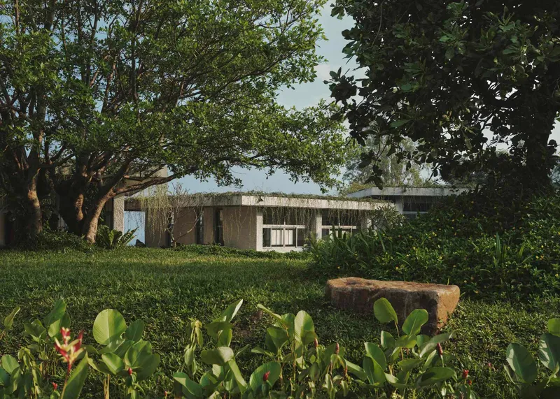 Planted roof visible above the concrete facade with mature trees and layered tropical planting in the foreground