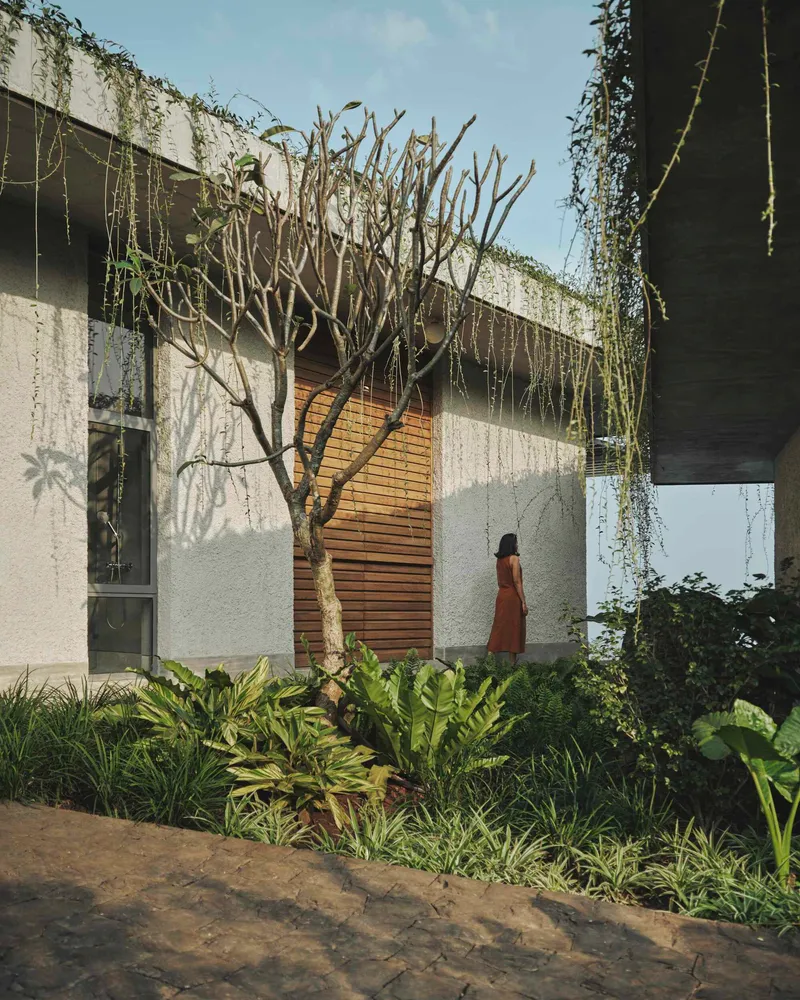 Concrete facade with timber slat door and cascading vines framing a bare tree and planted beds