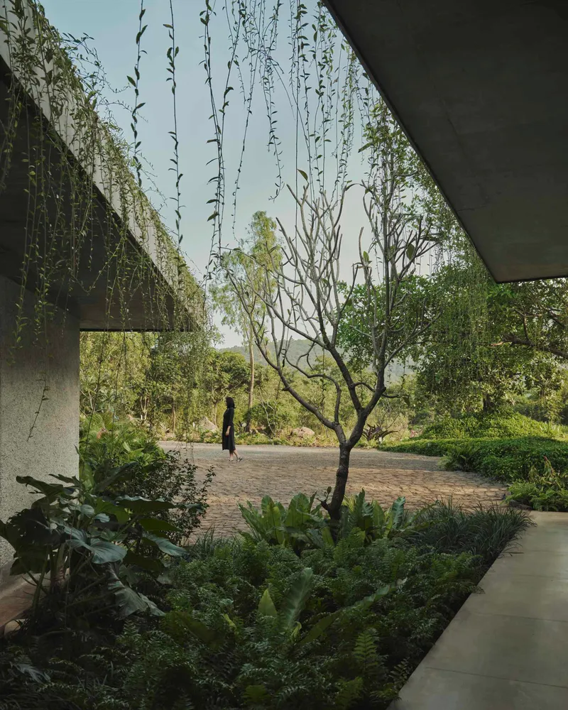 Covered terrace with concrete beams and suspended greenery overlooking a courtyard garden with a walking figure