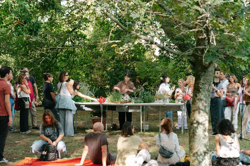 Outdoor gathering around a long table with planted herbs under dappled tree canopy